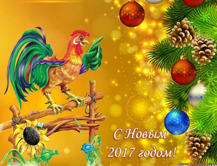Занятия фитнесом и с Новым Годом