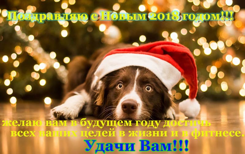 С новым 2018 годом!!!