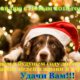 С Новым 2018 годом!!!