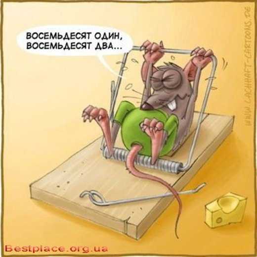 фитнес с юмором. иду на рекорд