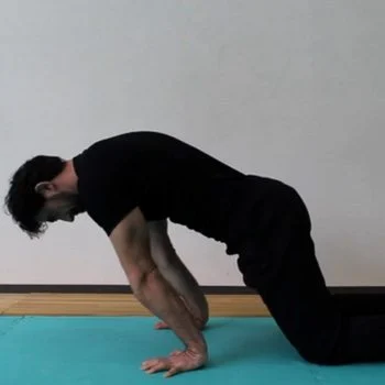 упражнение планше planche